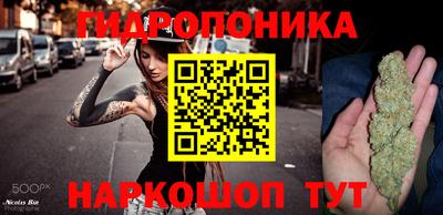 гашик Туймазы